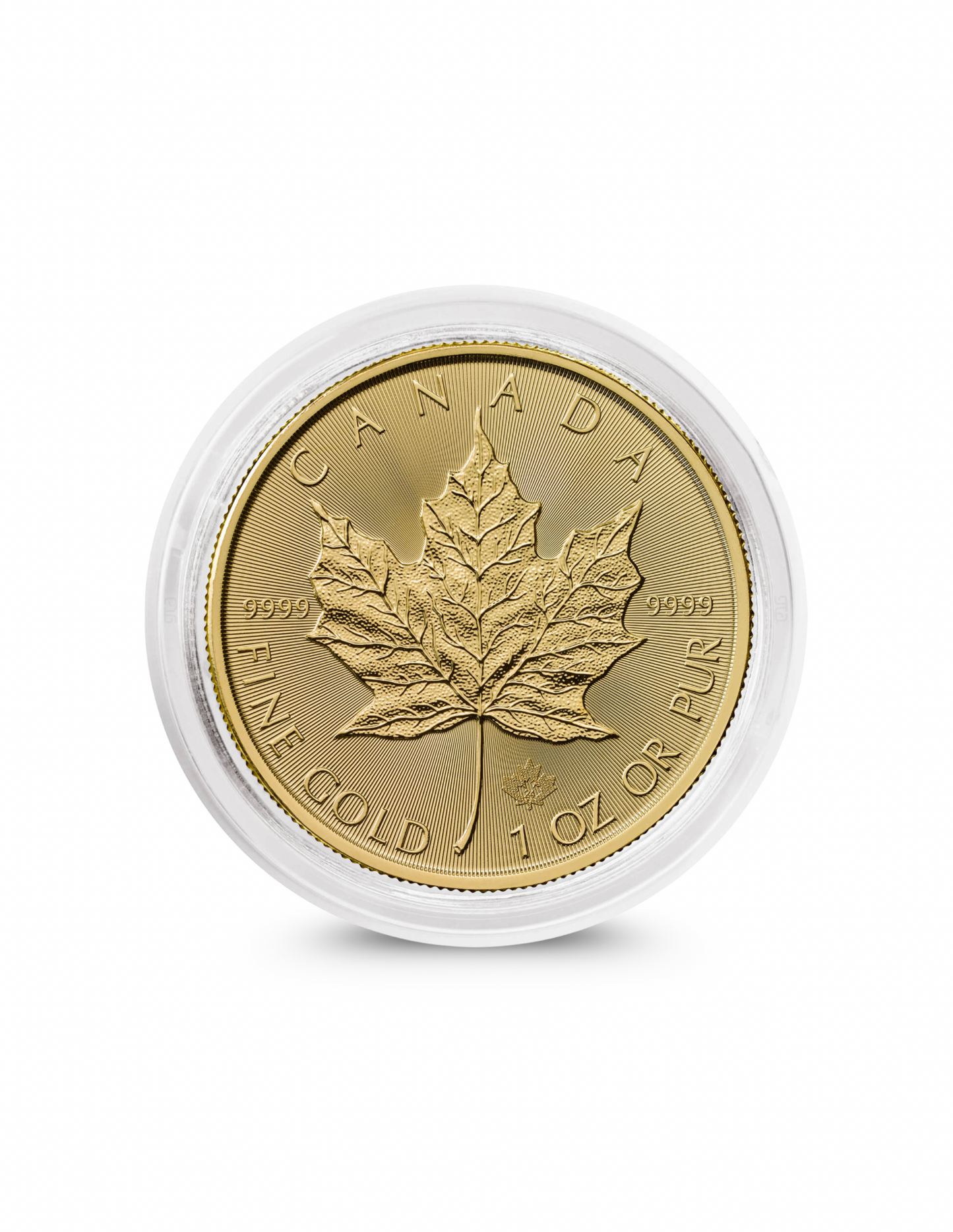 2024 Canadian Maple Leaf Gold Coin