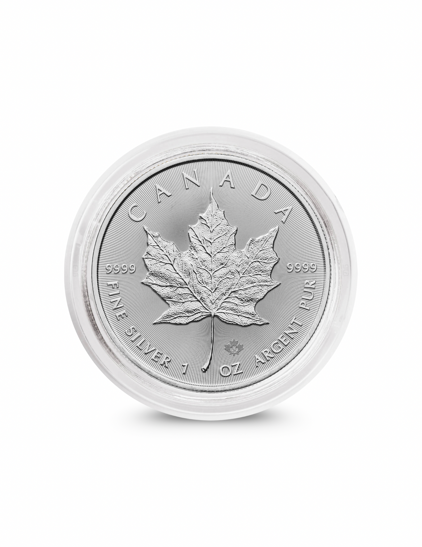 Canadian Maple Leaf 2024 1oz Silver Bullion Coin